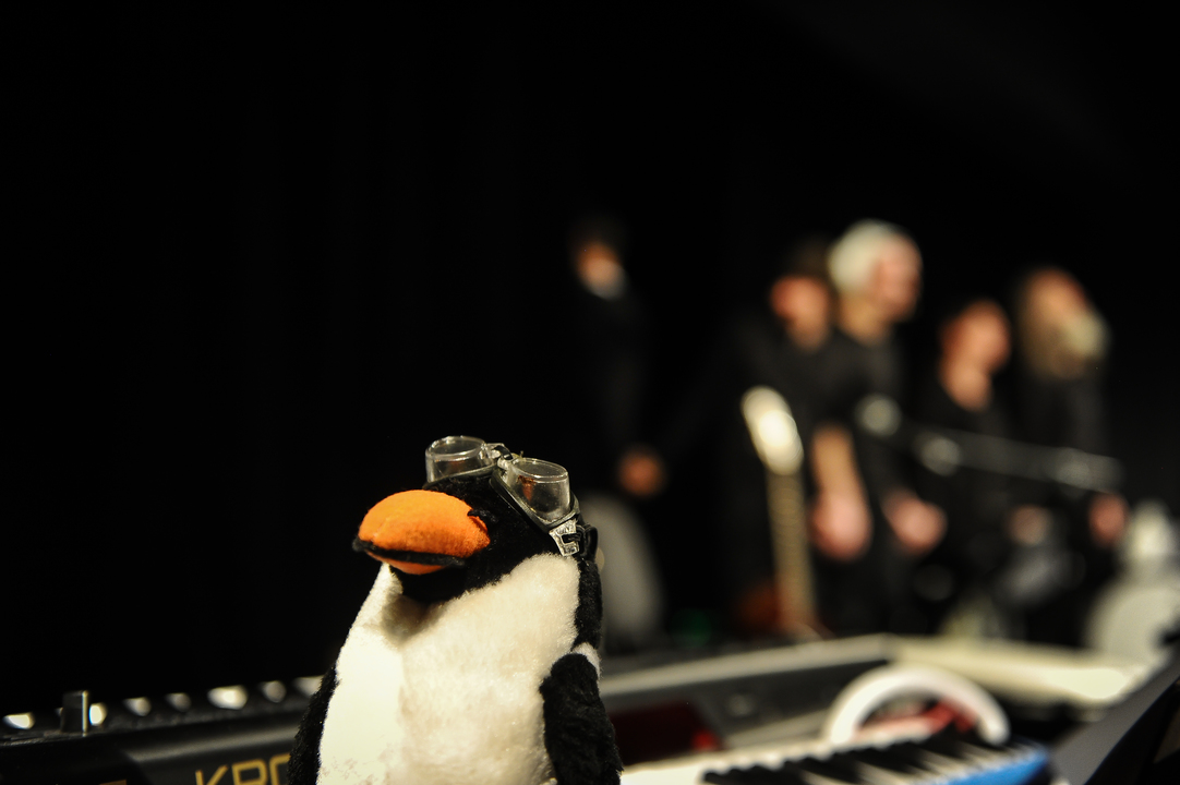 Pinguinul Apolodor împarte măști tratate antiviral, la Teatrul Gong! 